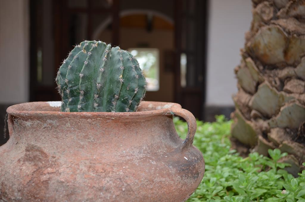 Finca El Carmen Angastaco 외부 사진